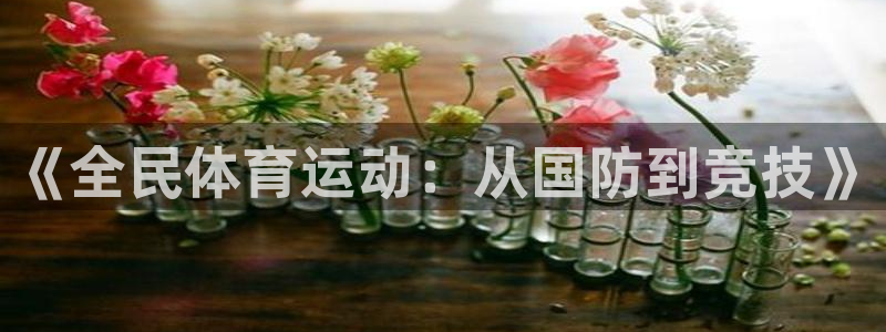 k1体育网站登录官网
