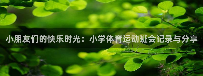 k1体育链接多少