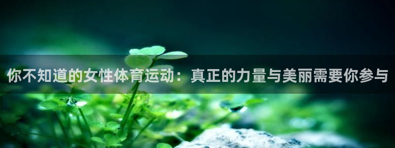 k1体育十年登录入口