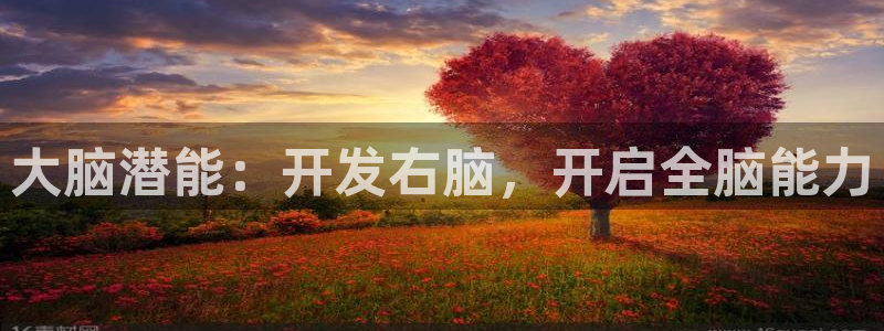 k1体育app下载链接
