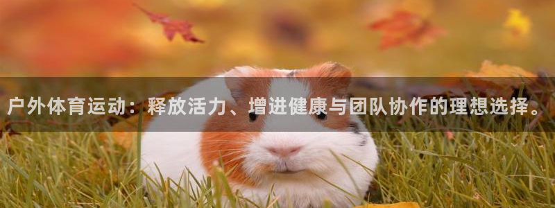 k1体育平台最新网站下载