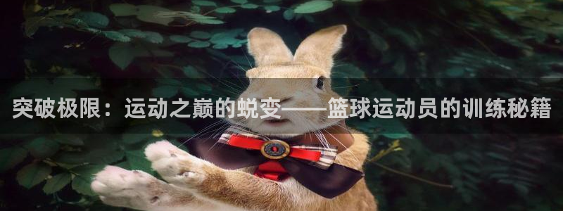 k1体育app下载链接
