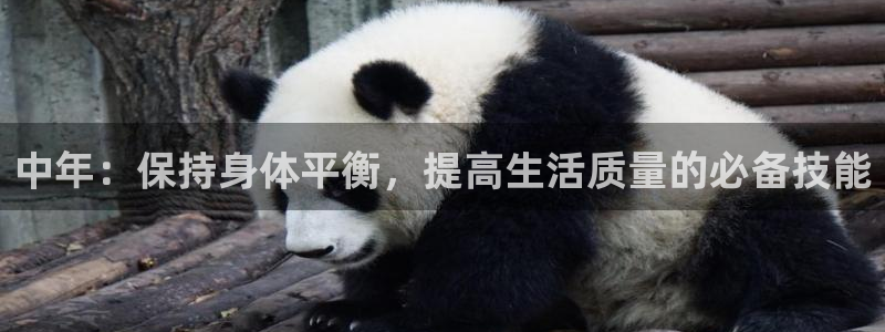 k1体育十年登录入口