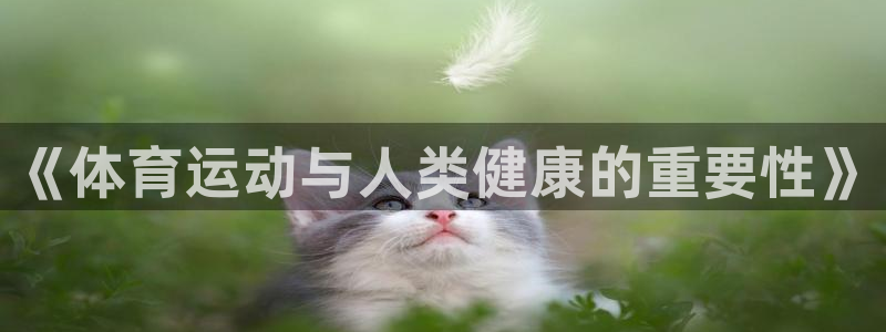 k1体育app官网登录入口