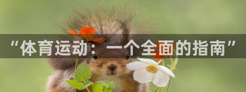 k1体育入口