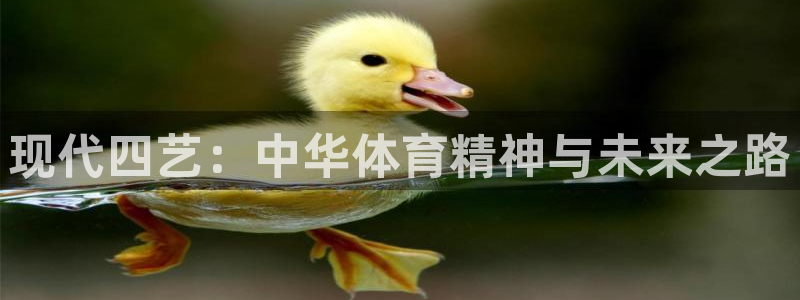 k1体育平台3915