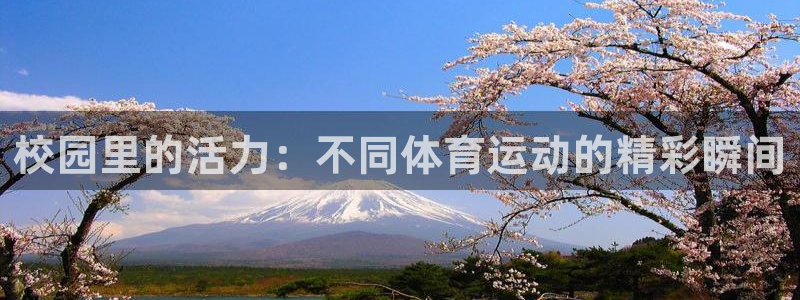 k1体育十年品牌官网